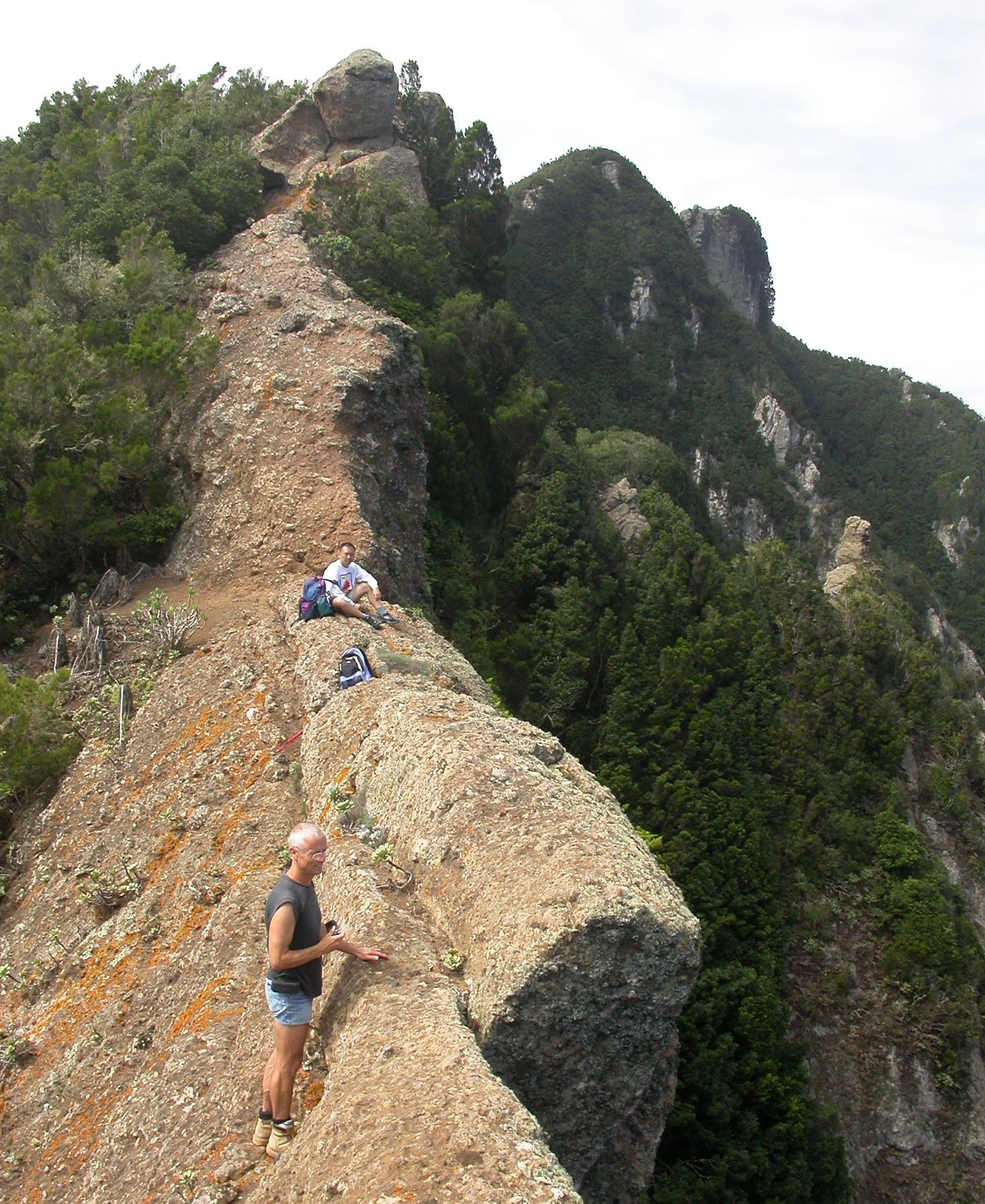 A group of people climbing a rock

Description automatically generated with low confidence